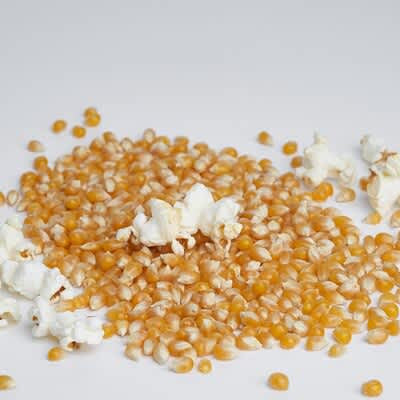 Bloom Pop 12 Onzas 12Pk Classic Orange